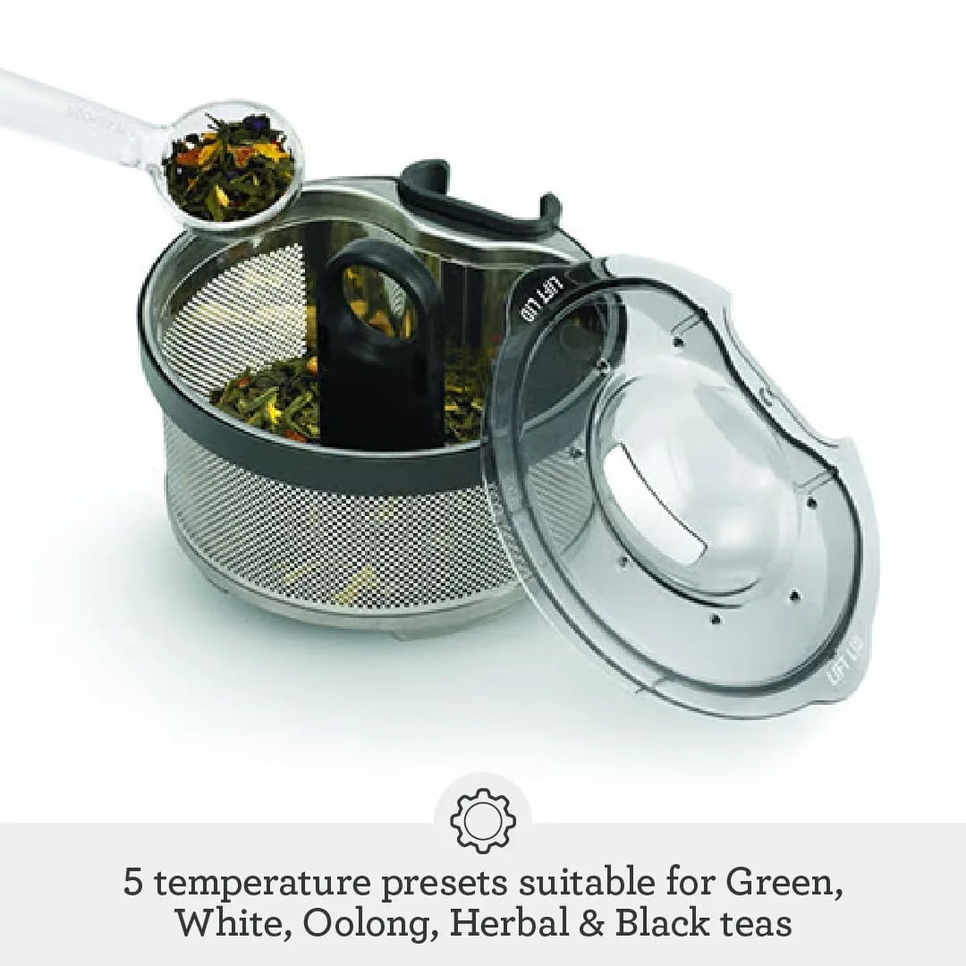 Brushed Stainless Steel Tea Maker N3058