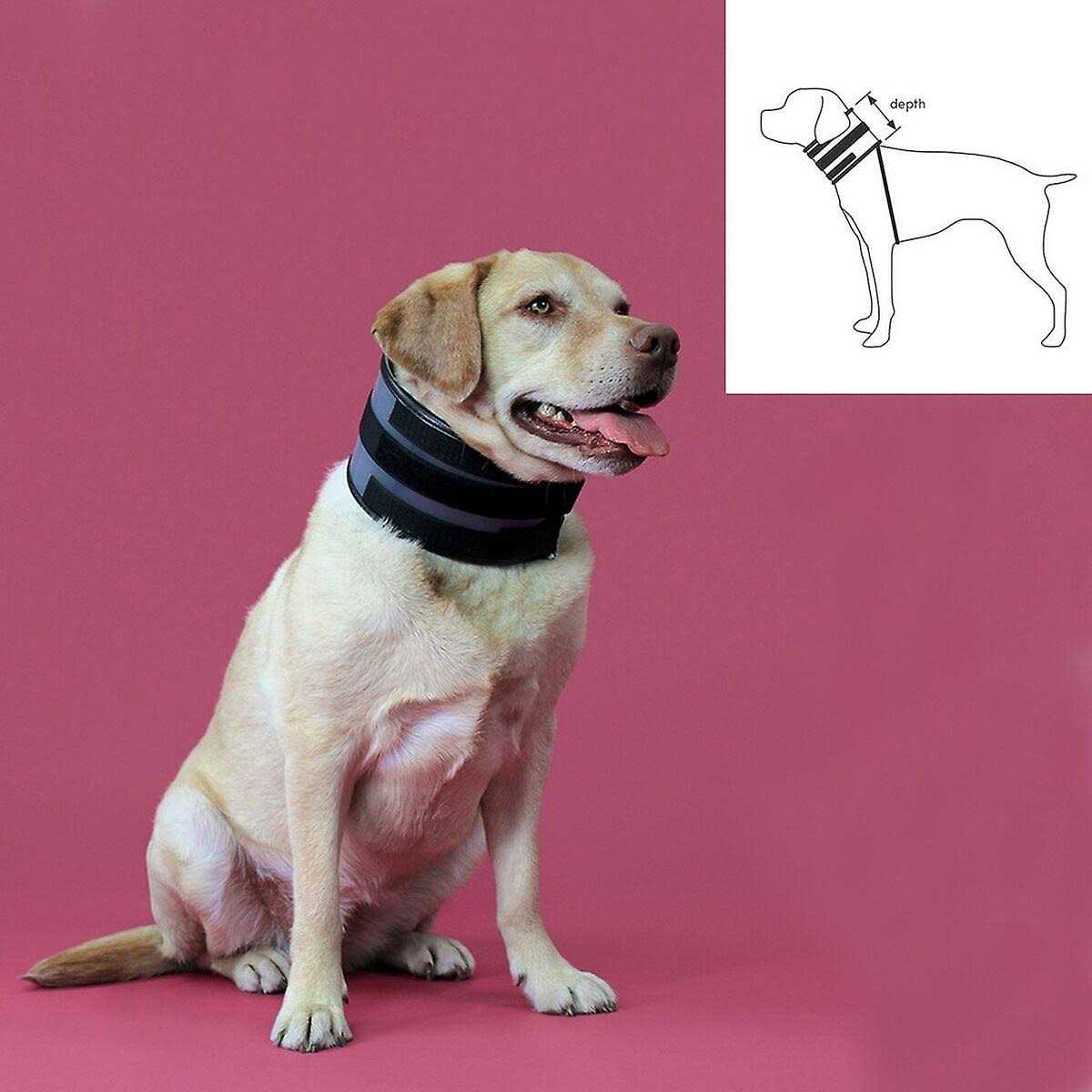 Cervical Collar Y19742