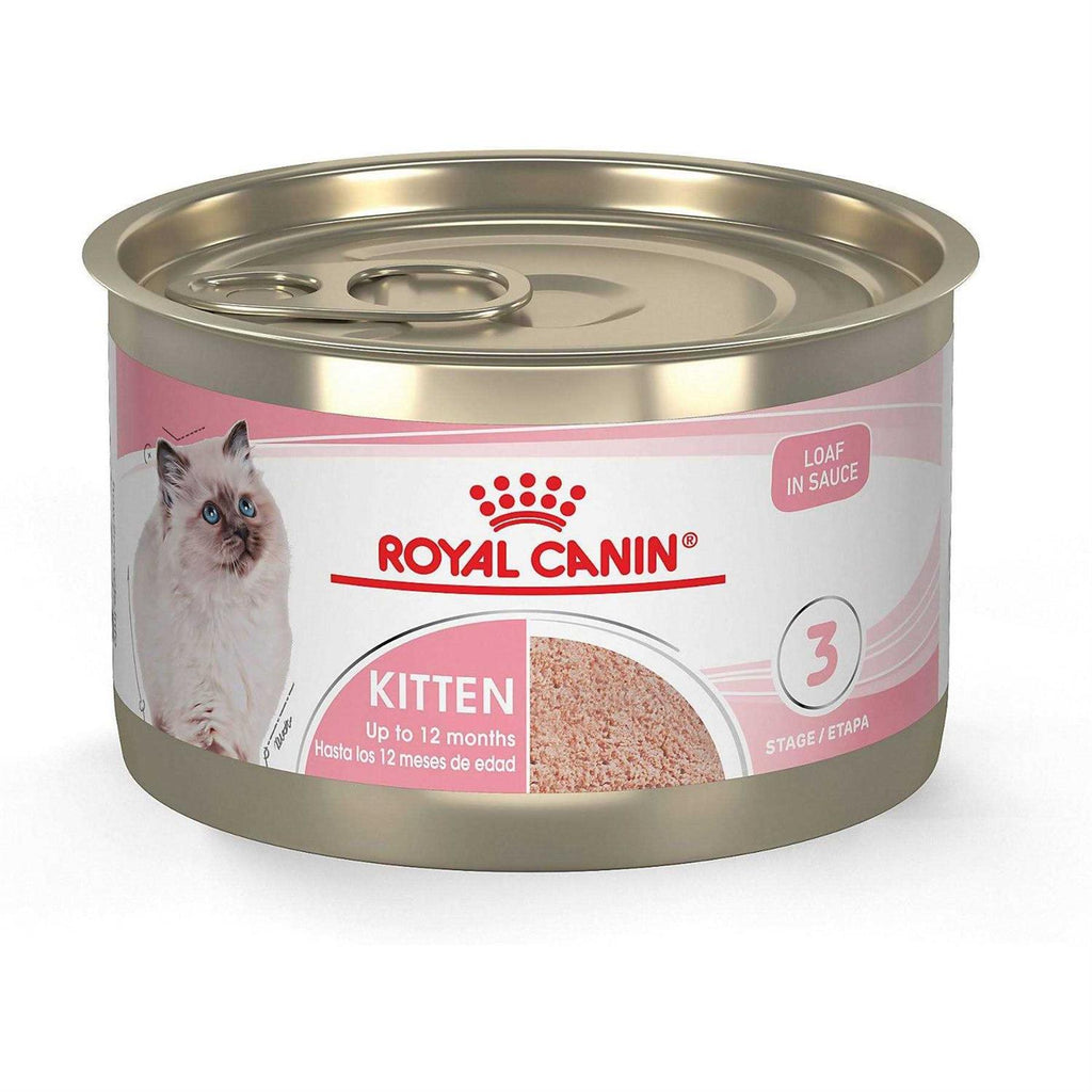 Kitten Loaf in Sauce Cat Food H166689