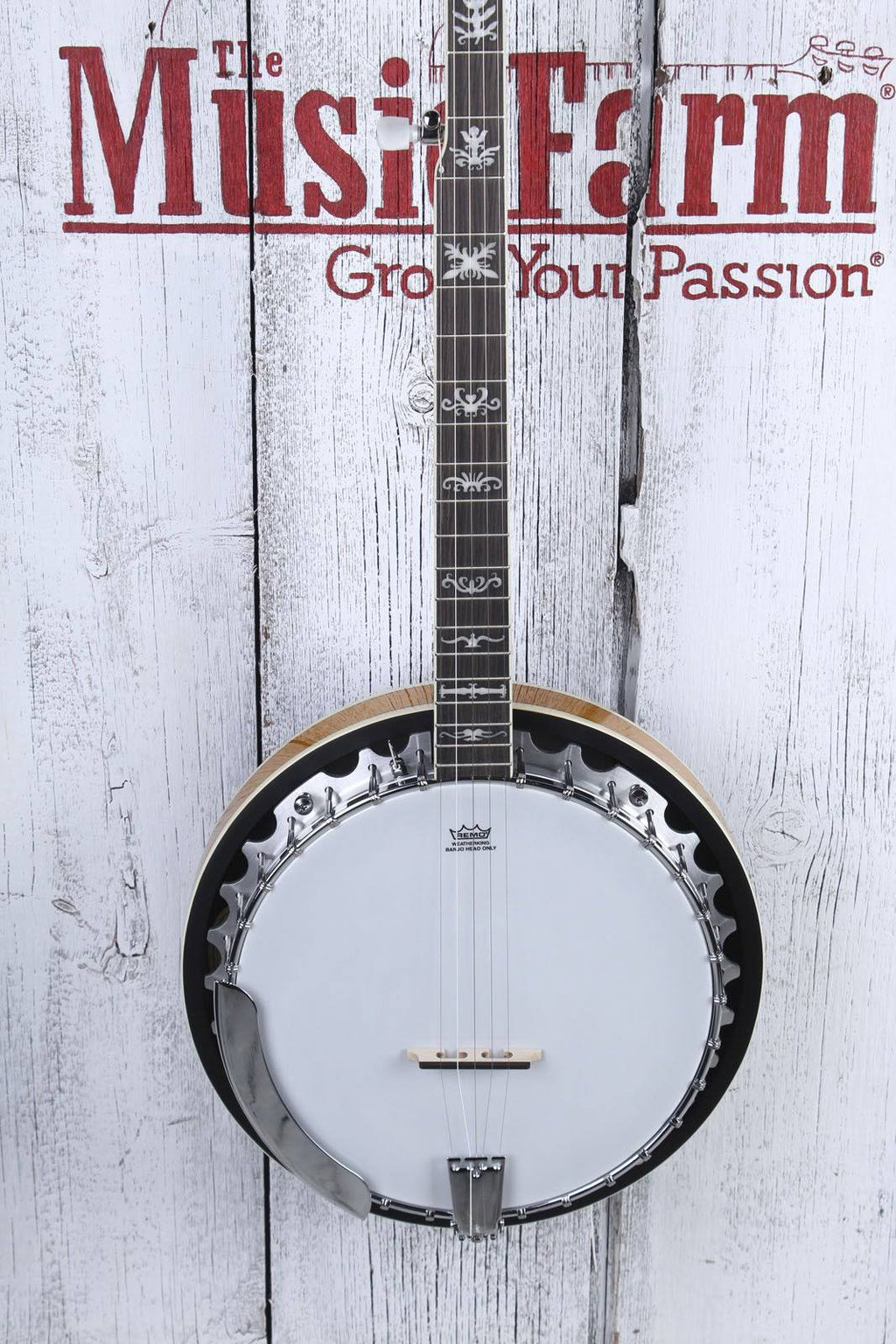5-String Banjo Q607839