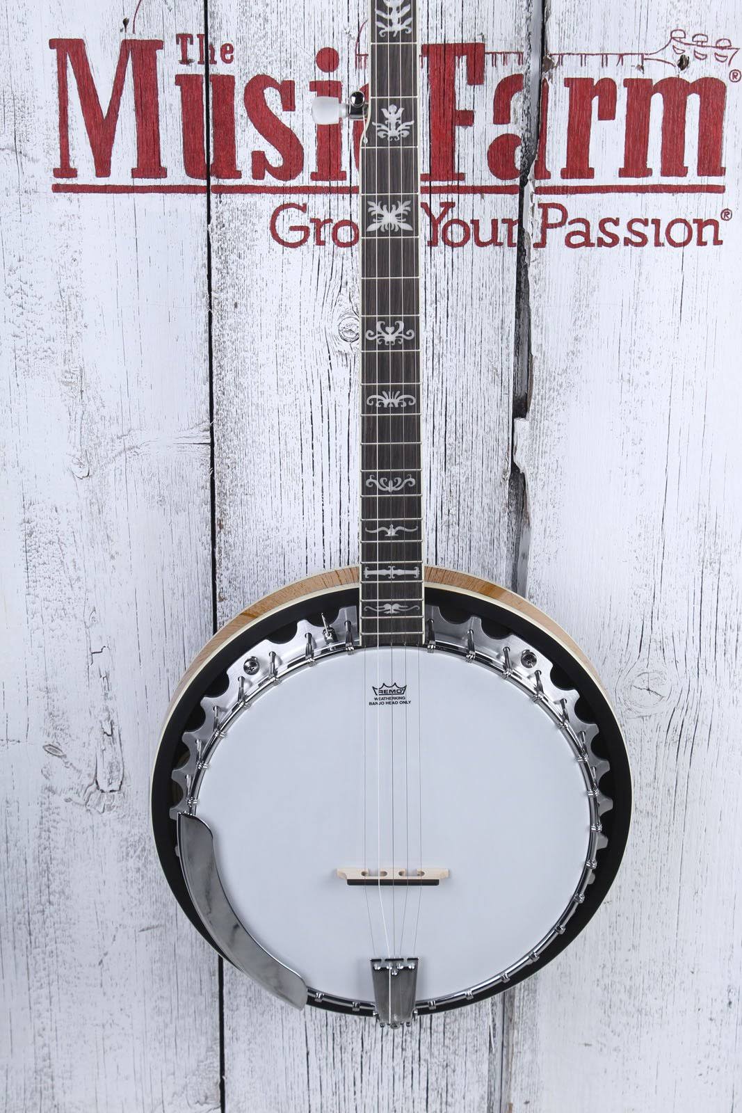 5-String Banjo Q607839