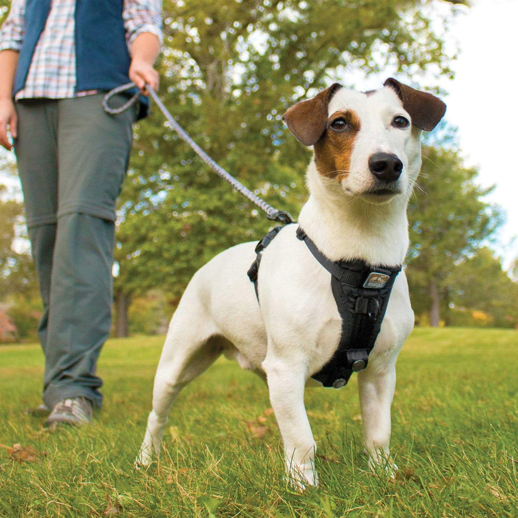 Tru Fit Smart Harness D667