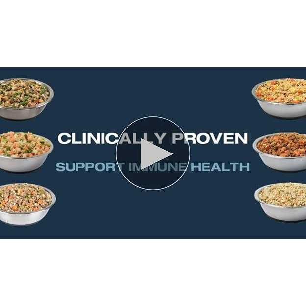 Renal Support Low Protein Shelf-Stable Fresh Dog Food G8575