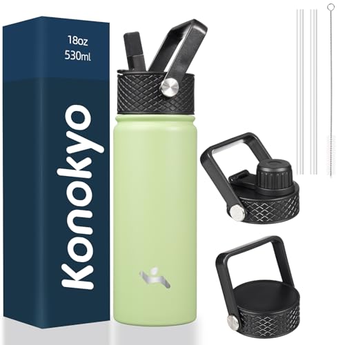 22oz Stainless Steel Insulated Water Bottle L9117