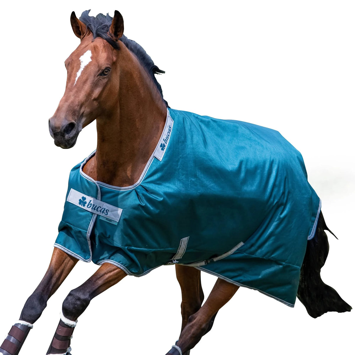Atlantic Turnout 50g K92609