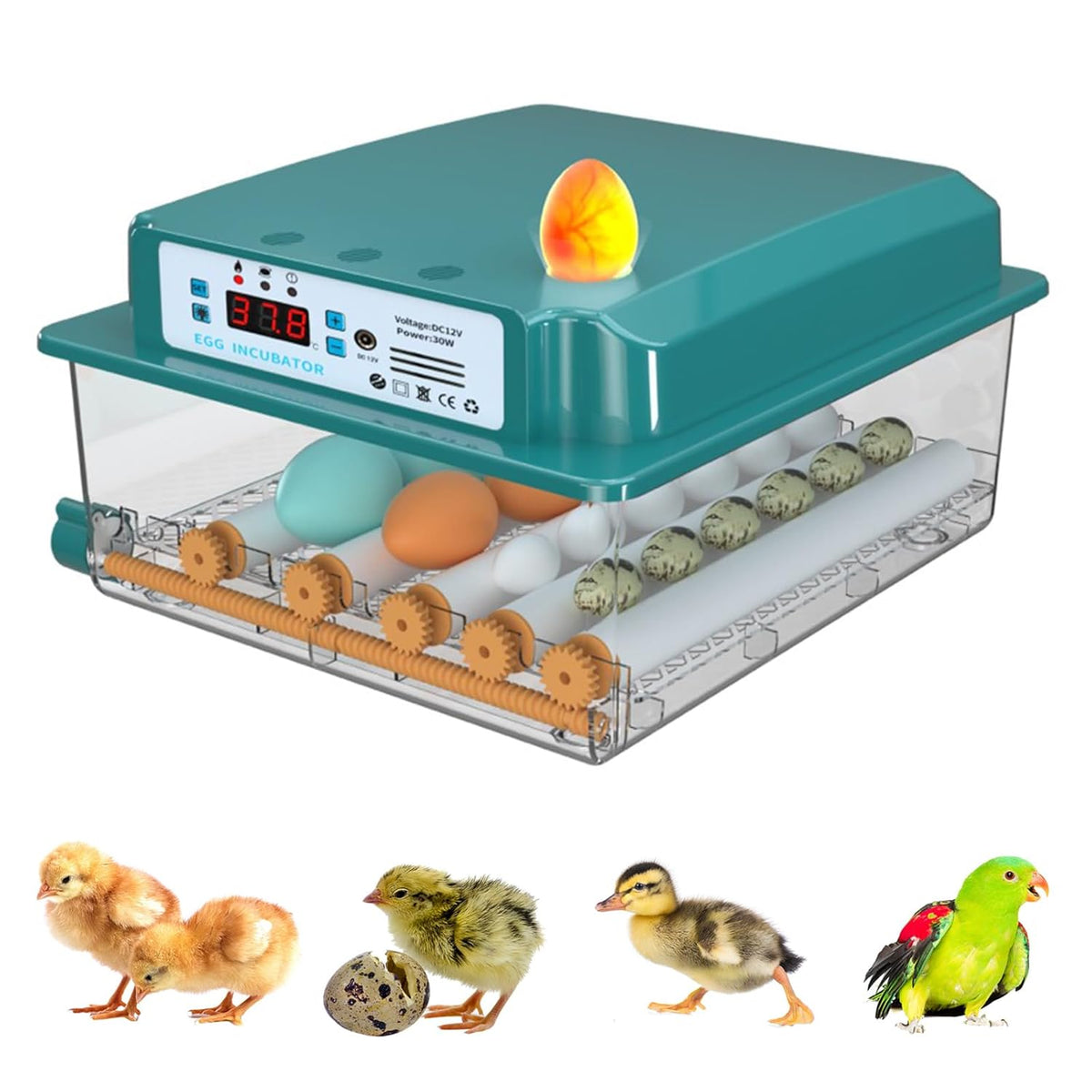 16 Eggs Incubator with Automatic Egg Turning, Temperature Humidity Control, LED Candler, Adjustable Egg Tray J1939