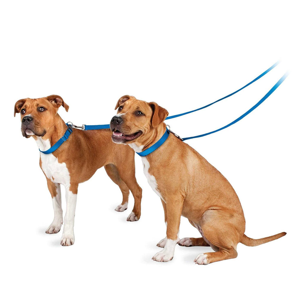 Nylon Dog Leash I3395