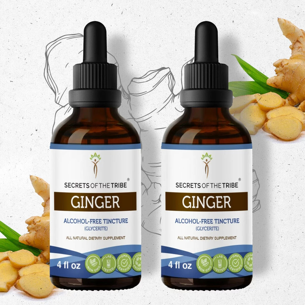 Organic Ginger Zingiber officinale Extract 2x4 oz S571