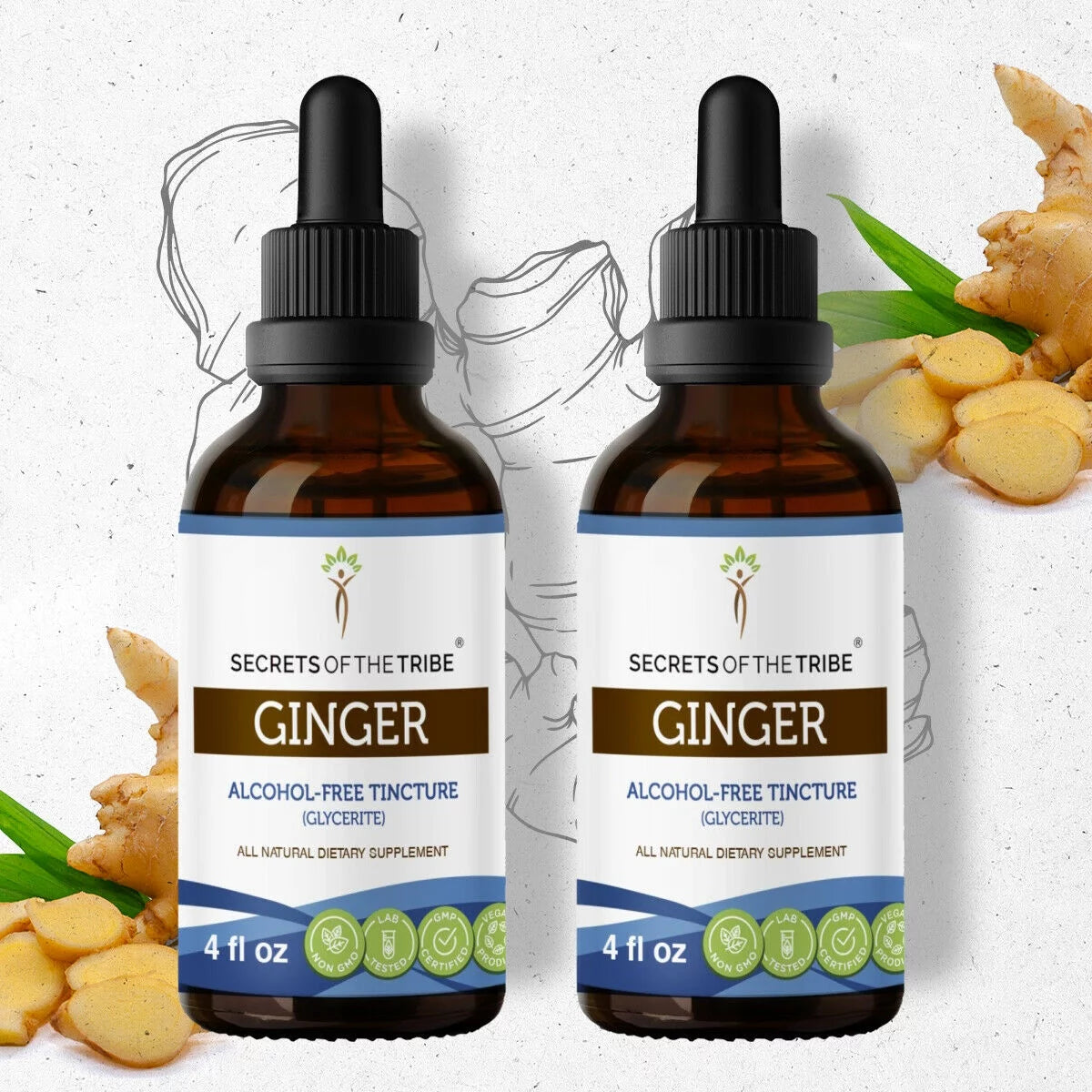 Organic Ginger Zingiber officinale Extract 2x4 oz S571