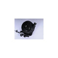 Secondary Air Injection Pump N6794