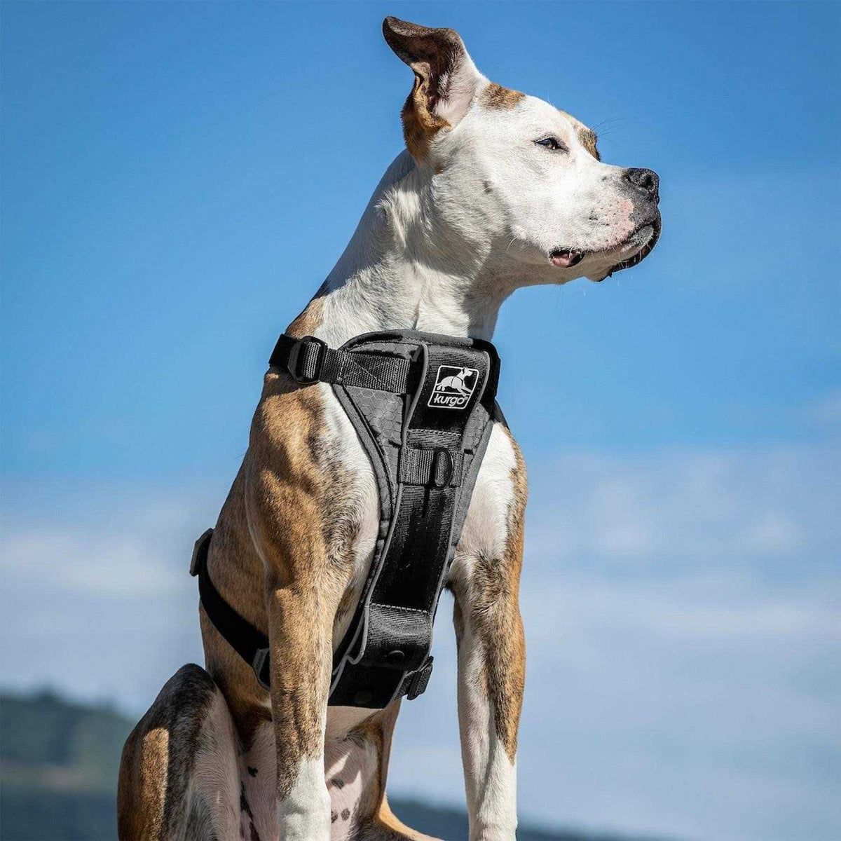 Tru Fit Smart Harness D667