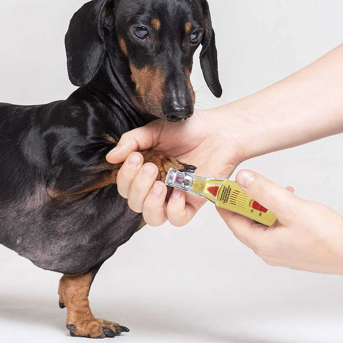 Dog Nail Grinder S2959