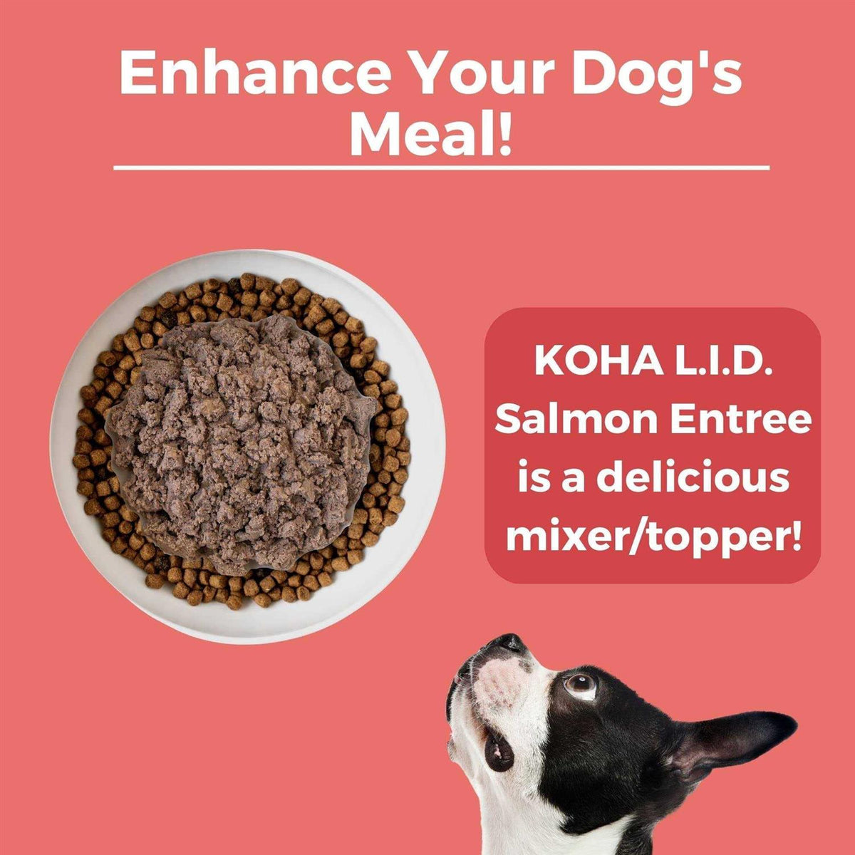 Grain & Potato Free Salmon Entree Canned Dog Food C265