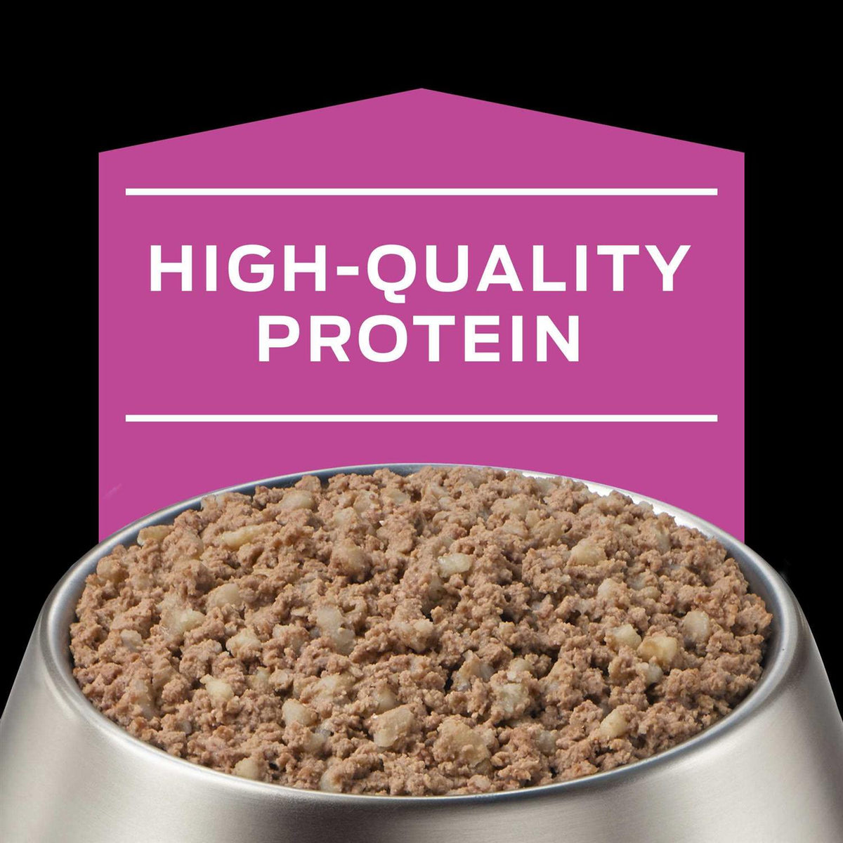 Wet Dog Food S580340