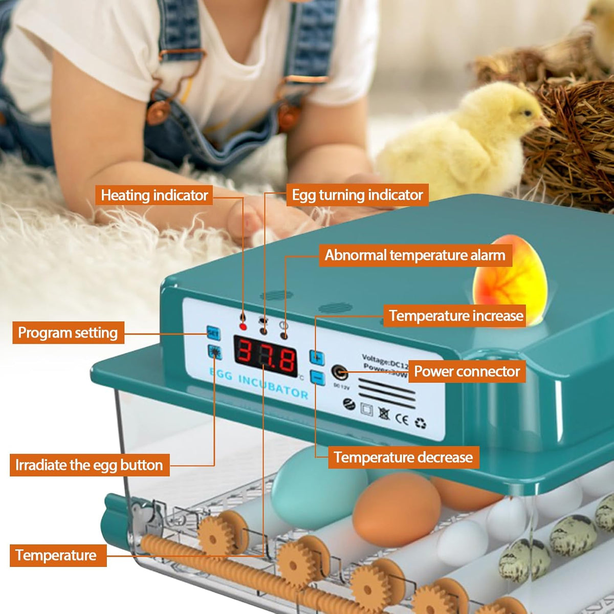 16 Eggs Incubator with Automatic Egg Turning, Temperature Humidity Control, LED Candler, Adjustable Egg Tray J1939