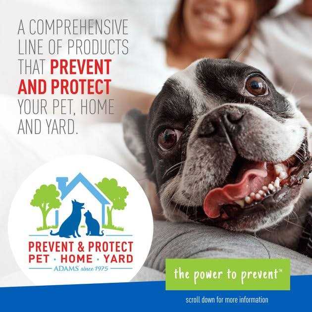 Foaming Flea And Tick Shampoo with Aloe And Cucumber I63794
