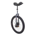 24In Grey Unicycle F96846