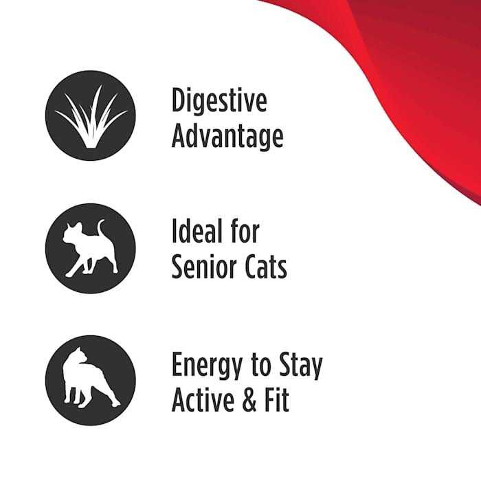 Grain Free Turkey Dry Cat Food D505392