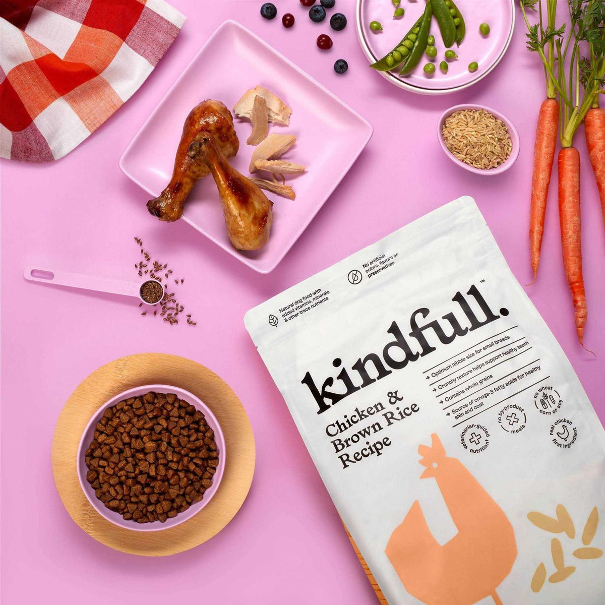 Chicken and Brown Rice Recipe Dry Dog Food C214108