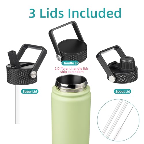 22oz Stainless Steel Insulated Water Bottle L9117