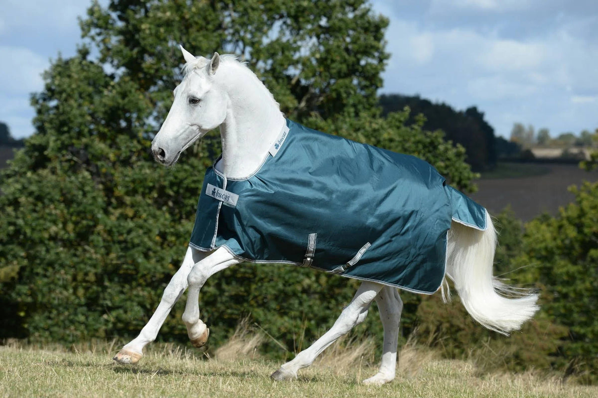 Atlantic Turnout 50g K92609