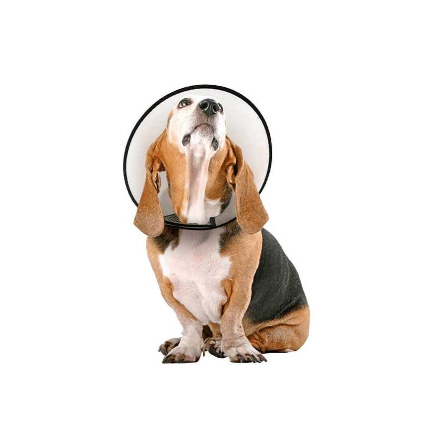 Protective Cone Collar U85628