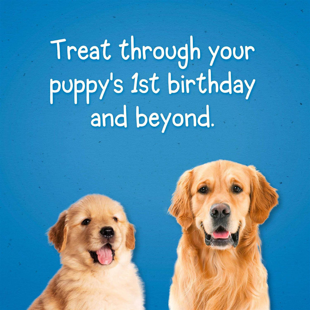 Dog Training Treats M4655
