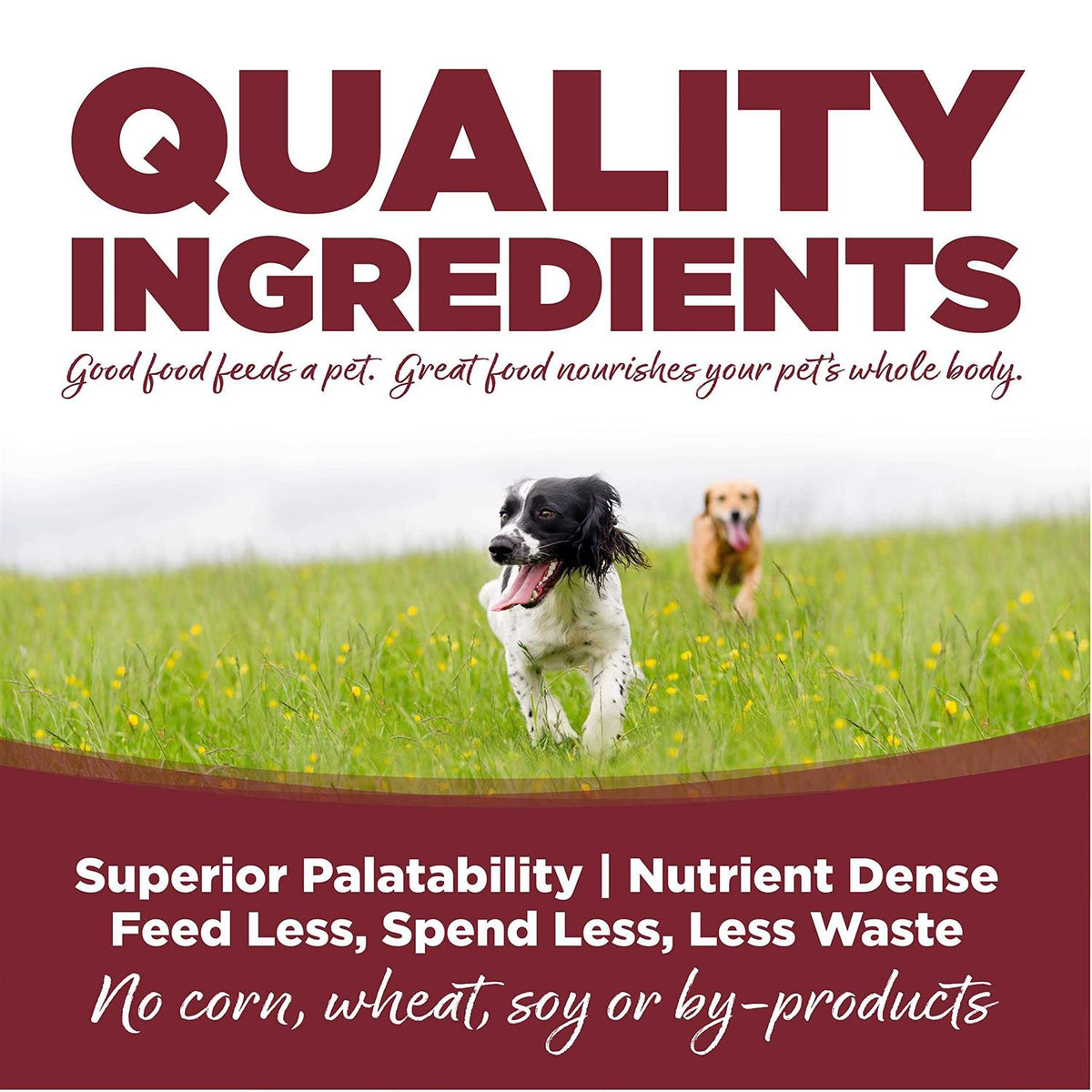 Beef Rice Dry Dog Food I4892