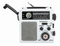 AM/FM Radio A42120