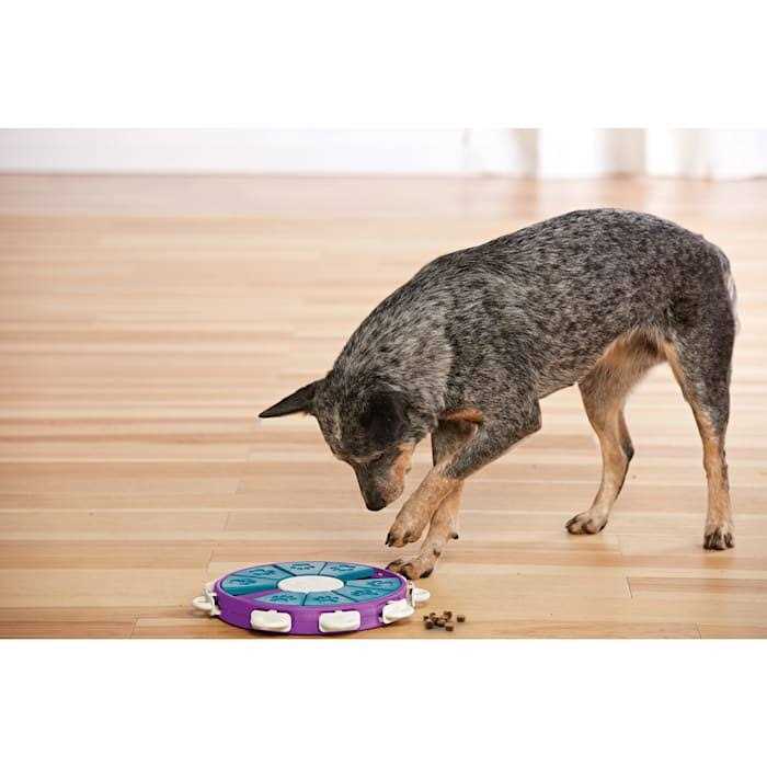 Puzzle Dog Toy W45052