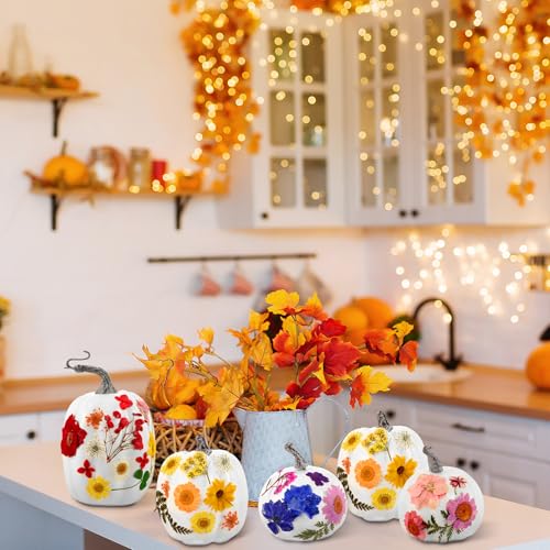 12 Pcs White Artificial Pumpkin and 140 Pcs Dried Flowers DIY Crafts Kit C290