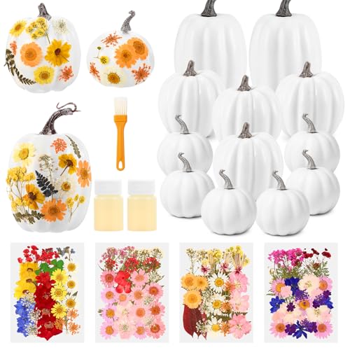 12 Pcs White Artificial Pumpkin and 140 Pcs Dried Flowers DIY Crafts Kit C290
