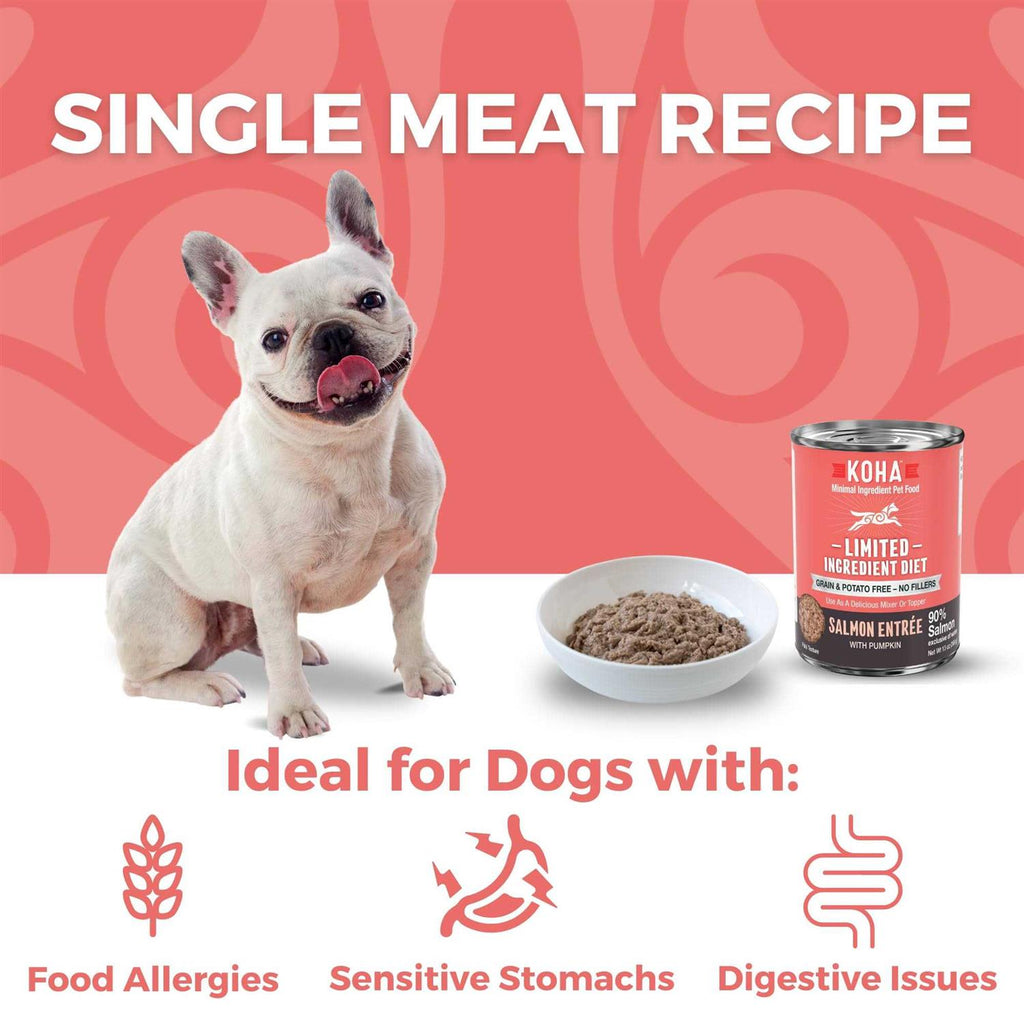 Grain & Potato Free Salmon Entree Canned Dog Food C265