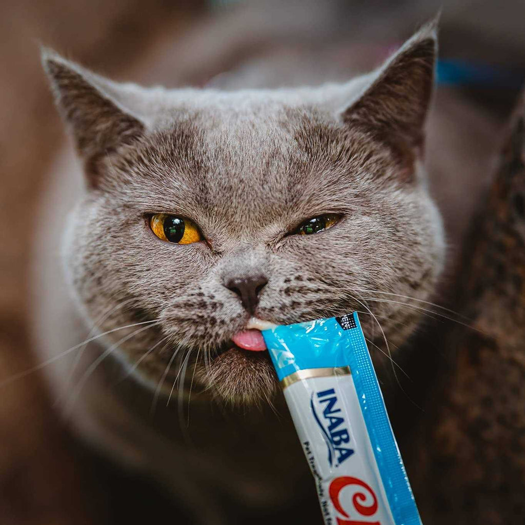 Grain-Free Tuna with Scallop Puree Lickable Cat Treat L681327
