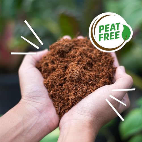 Organic Seed Starting Compressed Block C72546