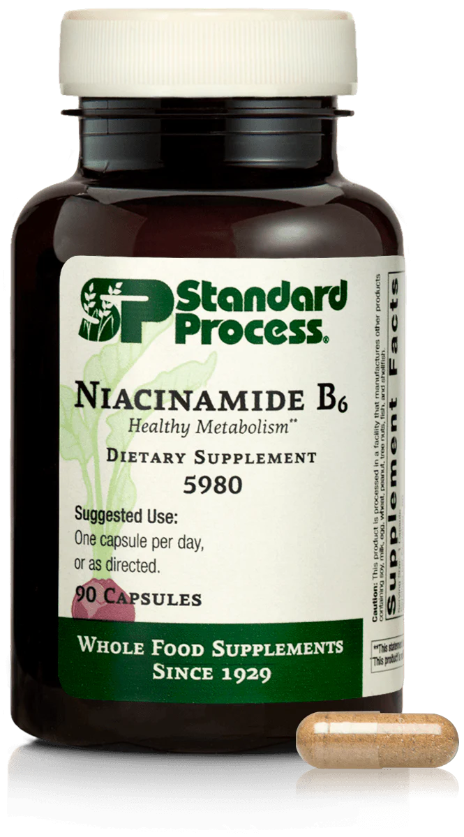 Niacinamide B6 90 Capsules O271