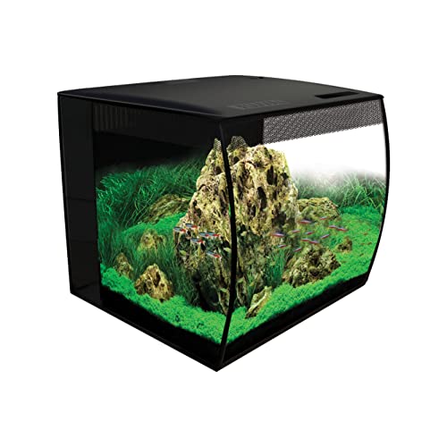 VIVARIUM B575555