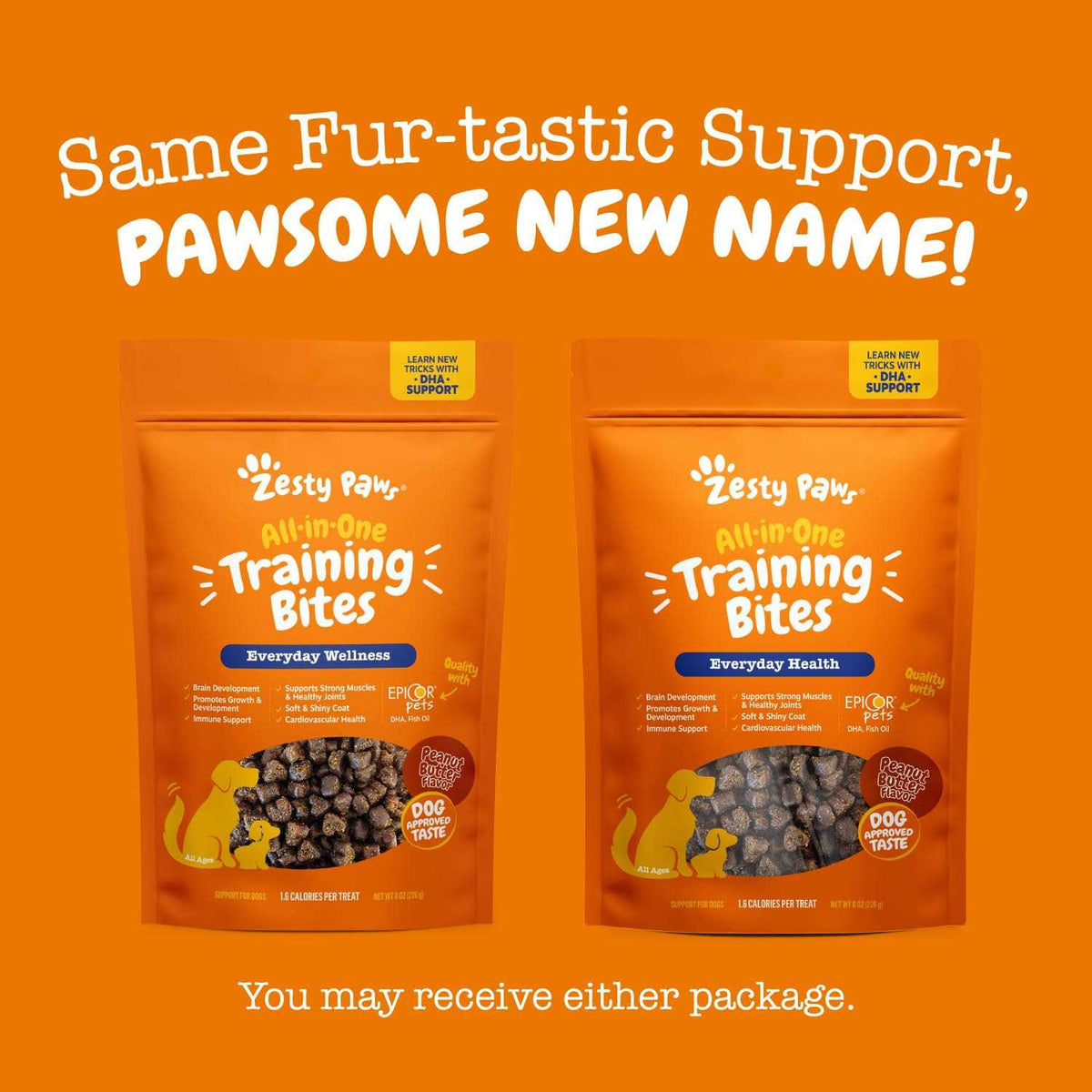 Training Treats for Dogs T8946