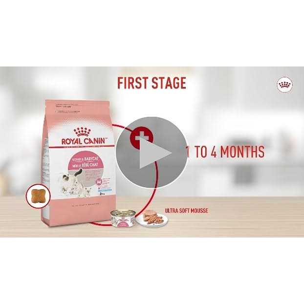 Kitten Loaf in Sauce Cat Food H166689
