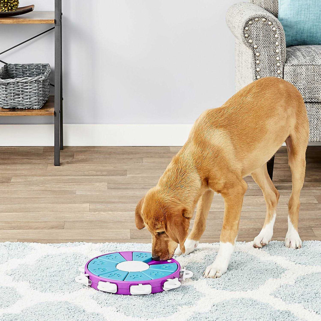 Puzzle Dog Toy W45052