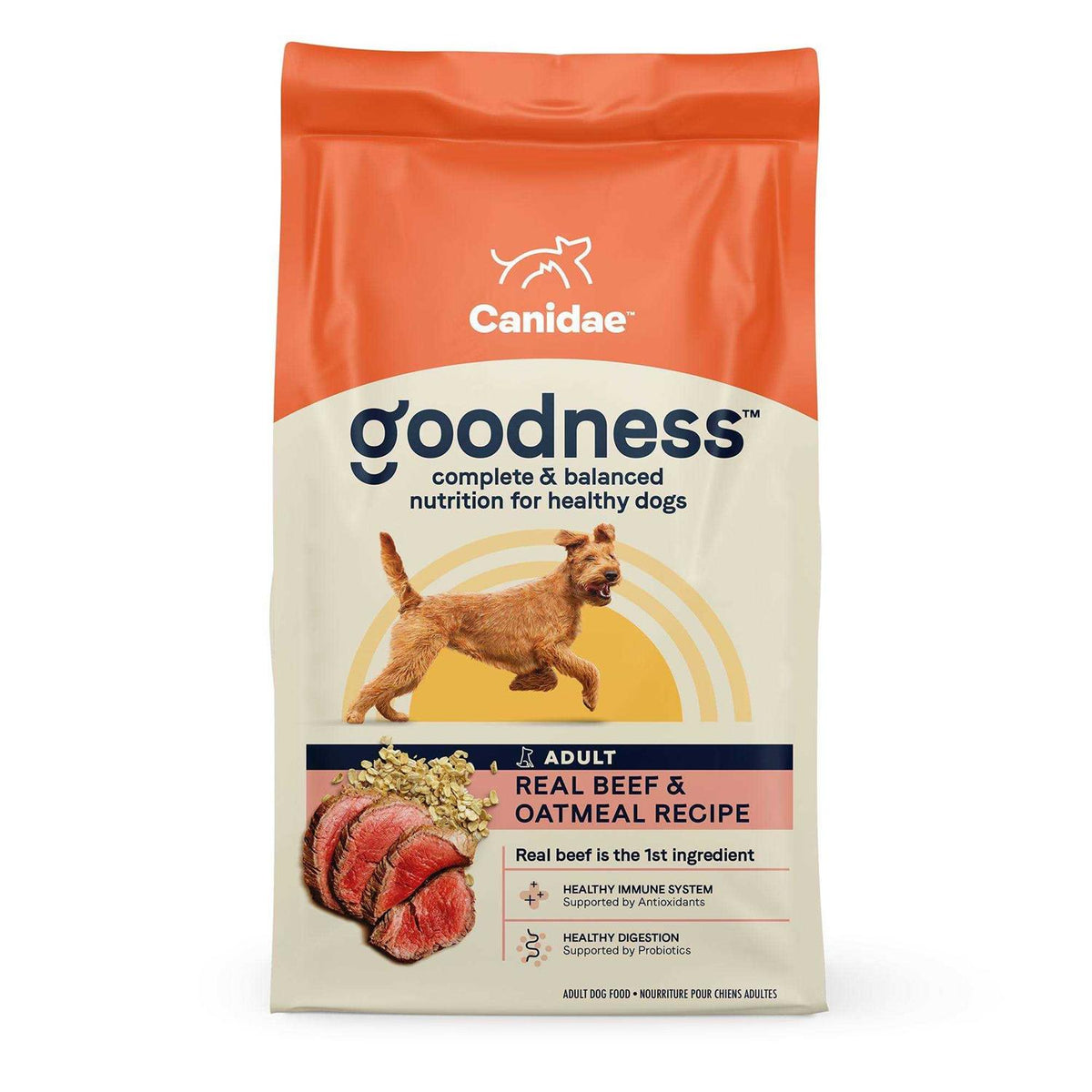 Dry Dog Food Beef and Oatmeal V174186