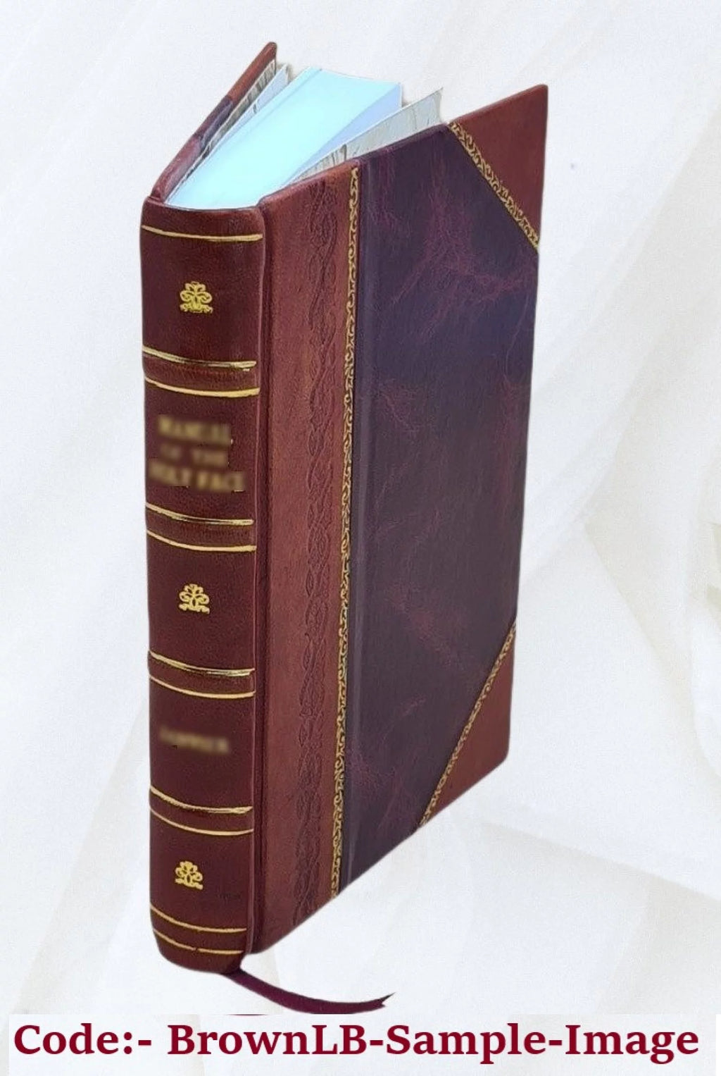 Leather Bound W2296