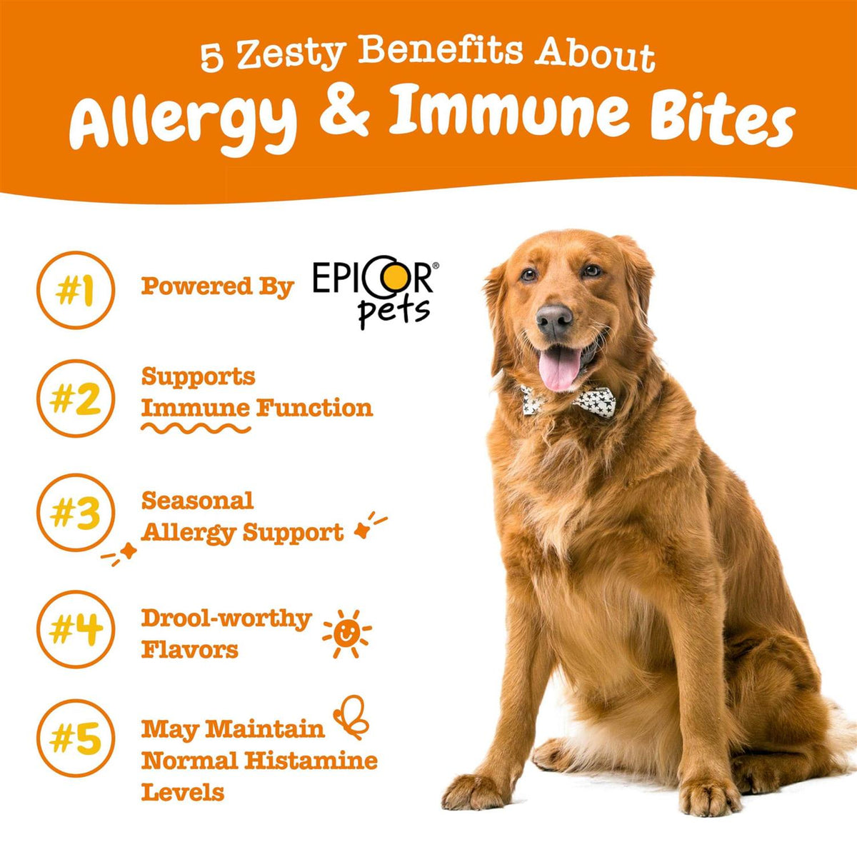 Salmon Allergy & Immune Bites for Dogs W695902