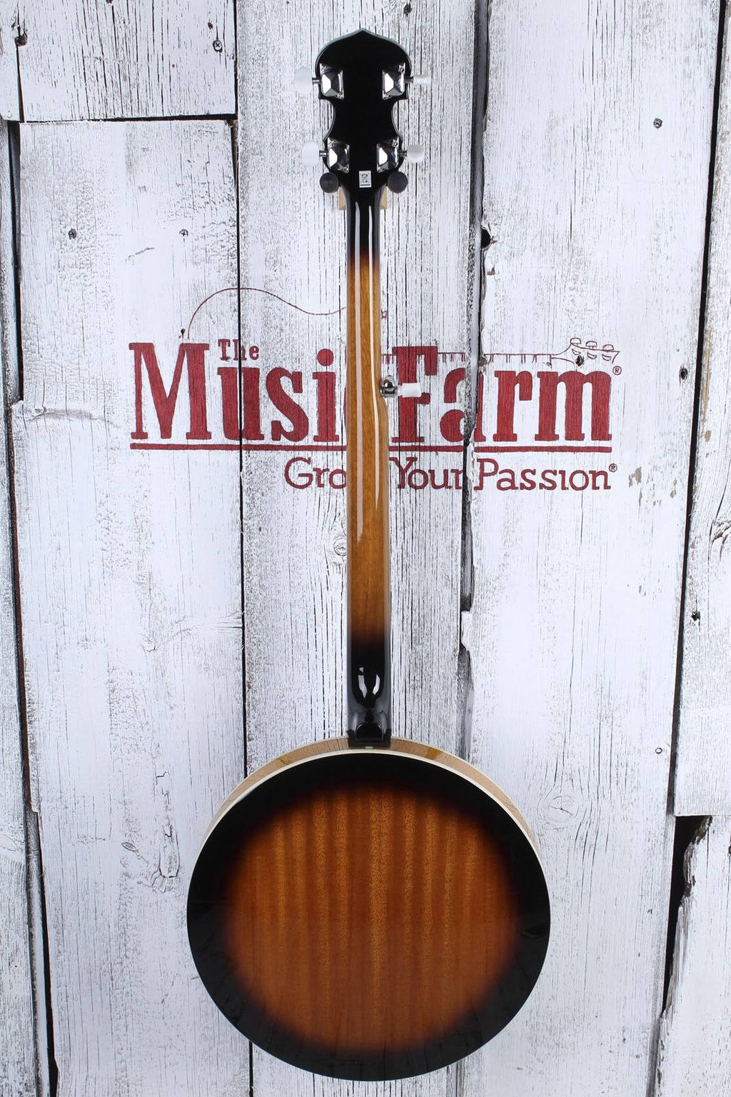 5-String Banjo Q607839