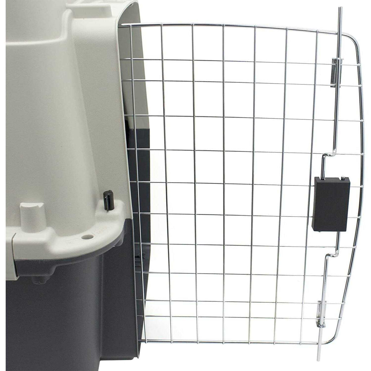 Plastic Dog Crate G38662