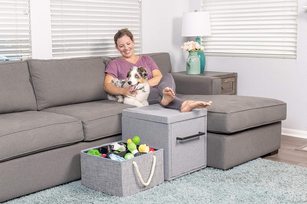 Foldaway Cat & Dog Steps G79623