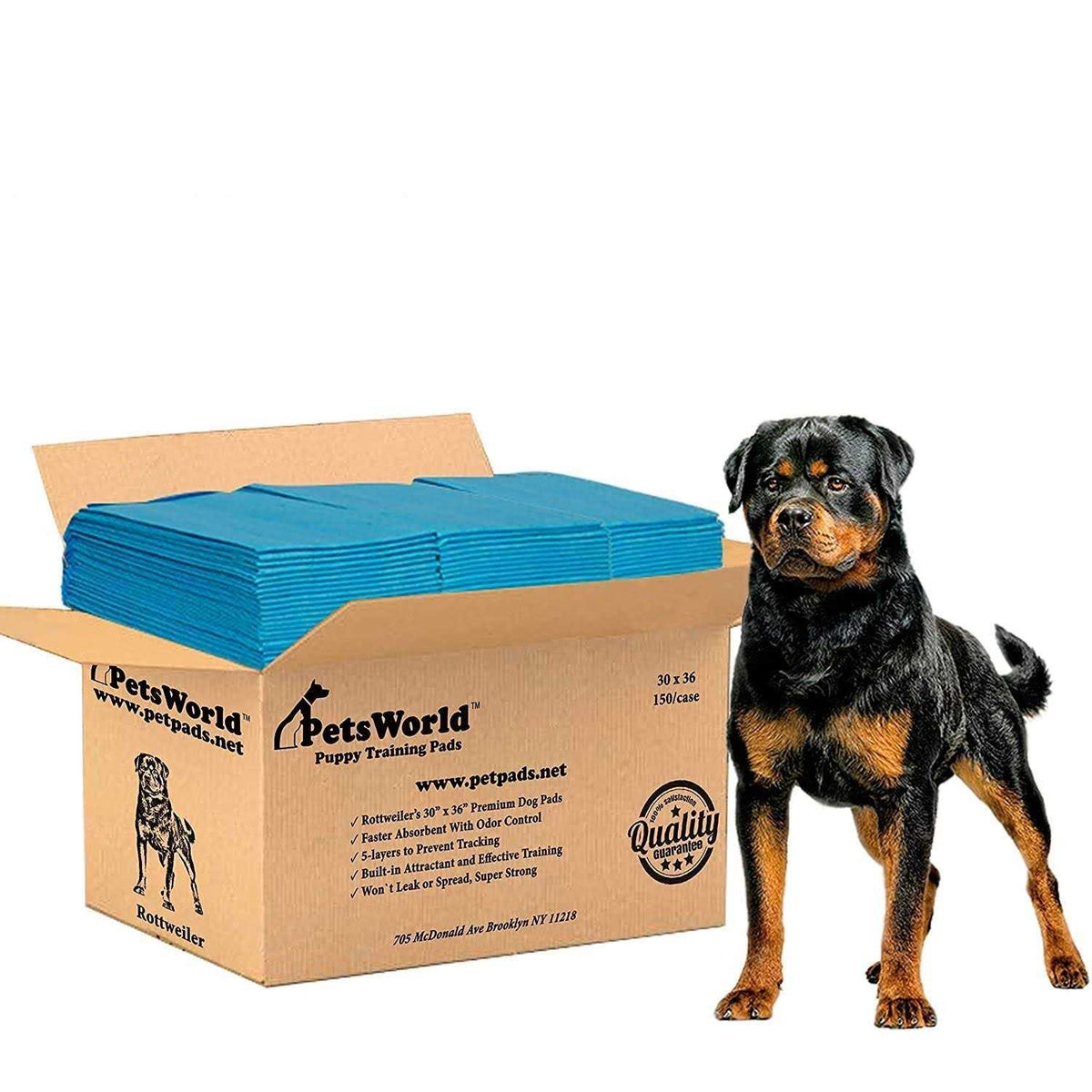 Extra Large Potty Pads for Dogs C4825