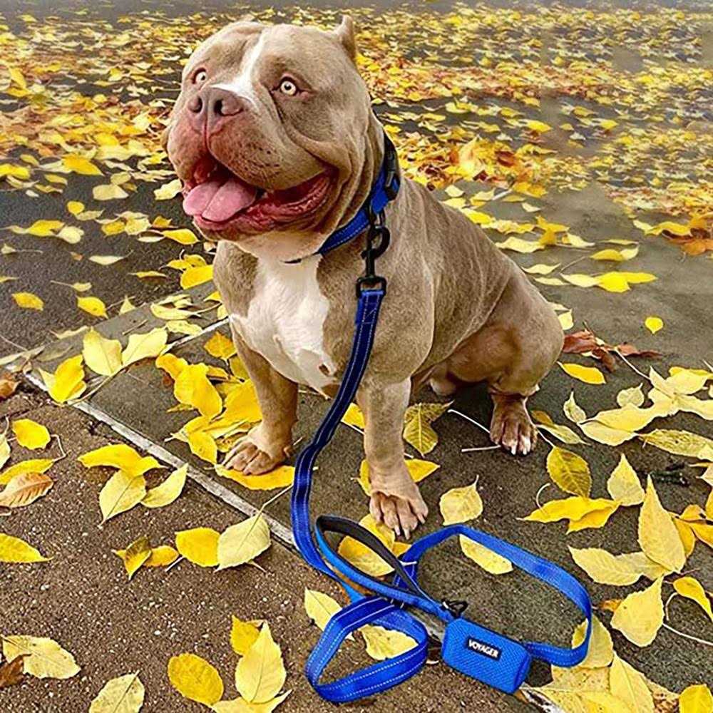 Reflective Dog Leash with Neoprene Handle, 5ft A313