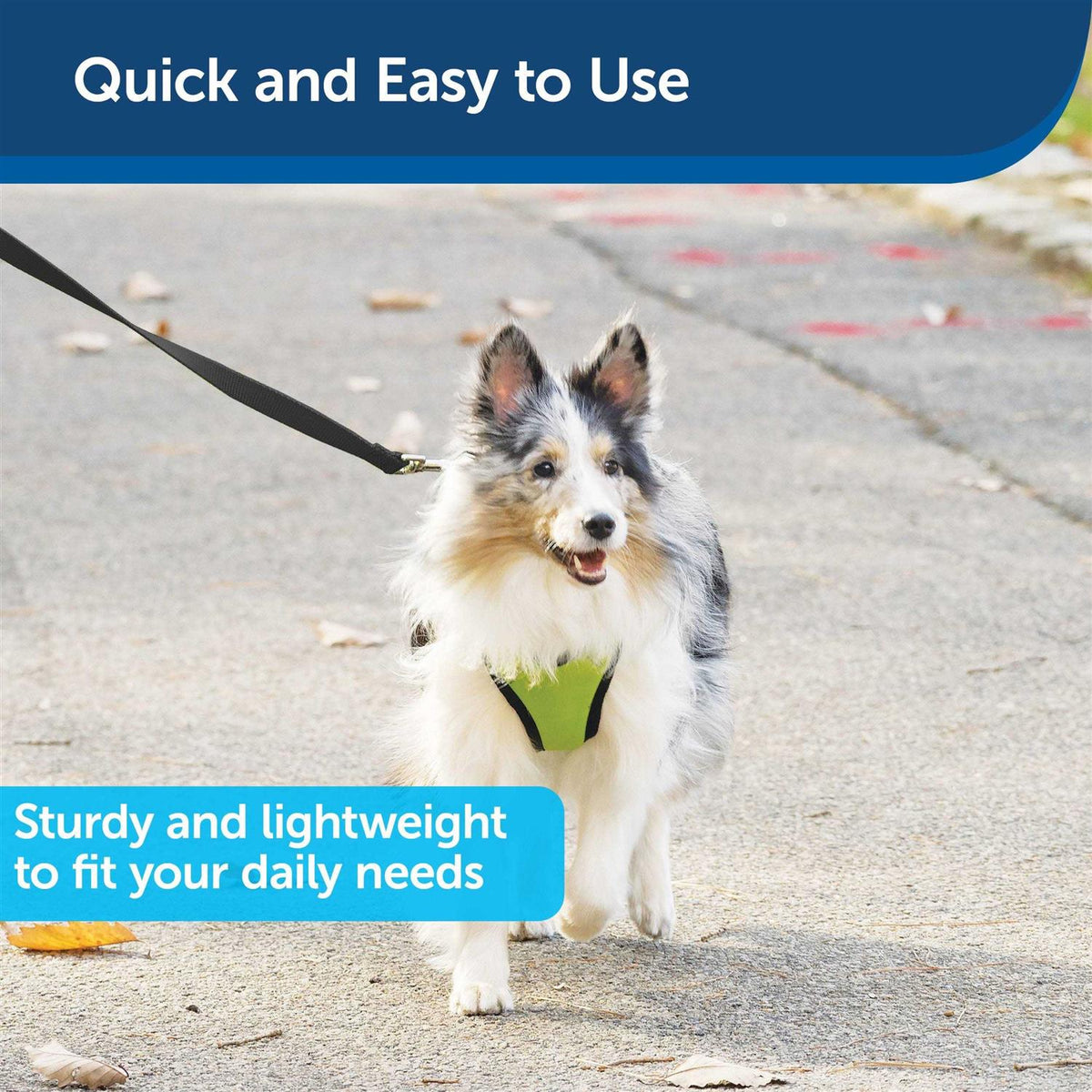 Nylon Dog Leash I3395