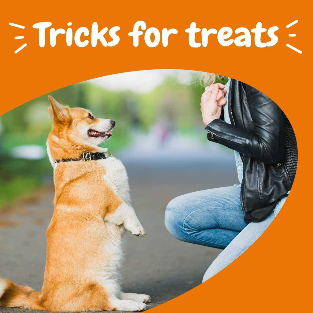 Training Treats for Dogs T8946